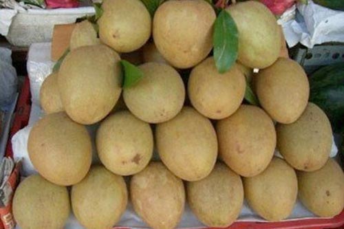 Phân biệt hồng xiêm ngon với hồng xiêm ngâm hoá chất