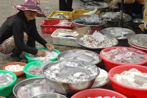 Ph&#xE2;n bi&#x1EC7;t t&#xF4;m, c&#xE1; b&#x1ECB; ng&#xE2;m h&#xF3;a ch&#x1EA5;t b&#x1EB1;ng c&#x1EA3;m quan