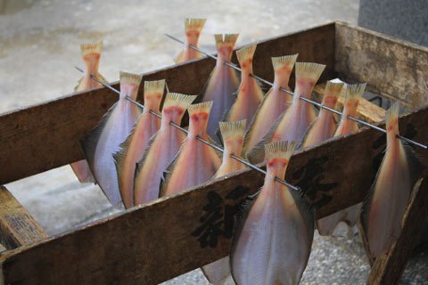 30 năm nữa Trái Đất sẽ không còn cá