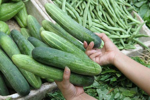 Cách chọn mua dưa chuột ngon không đắng