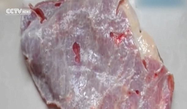 Chuyện lạ: Miếng thịt bị cắt rời vẫn co giật như quả tim