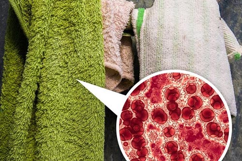 7 món đồ tuyệt đối phải đưa ra khỏi phòng tắm