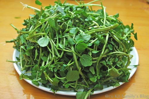 Lợi ích bất ngờ của rau cải xoong đối với sức khỏe