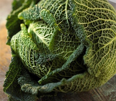Danh sách những loại rau nên ăn nhất trong mùa đông không thể thiếu cải bắp