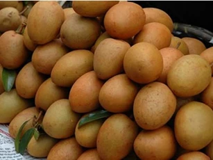 Mẹo hay chọn hồng xiêm ngọt mát, không ngâm hóa chất