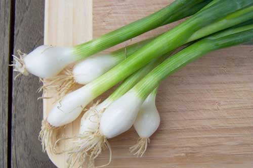 Mẹo nhỏ bảo quản hành lá tươi mà không sợ hỏng