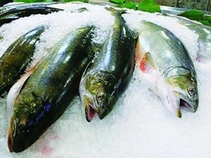 Cách chọn mua thực phẩm đông lạnh
