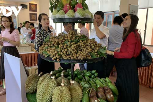 Tổng sản phẩm nông, lâm nghiệp, thủy sản ở  Đắk Lắk ước đạt hơn 25.300 tỷ đồng