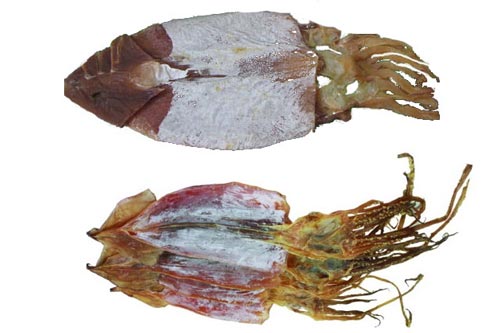 Mẹo hay phân biệt mực khô kém chất lượng