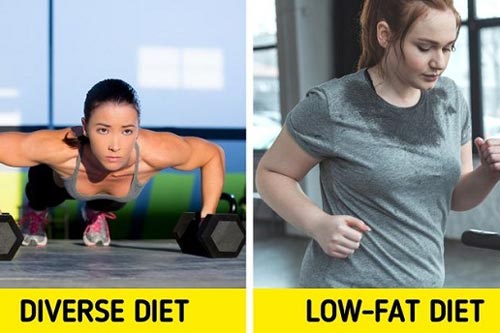 Điều gì xảy ra với cơ thể nếu ngừng ăn chất béo?