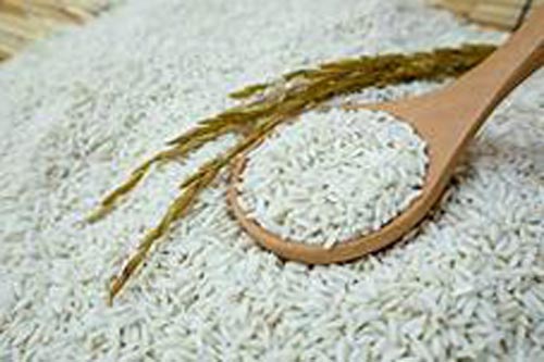 Cách chọn gạo nếp thơm ngon, không hóa chất