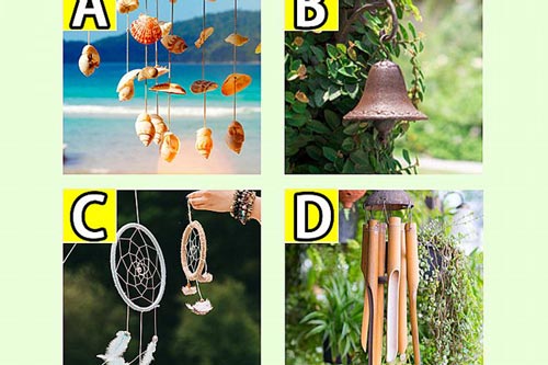 Trắc nghiệm: Bạn sẽ may mắn trong lĩnh vực nào của cuộc sống?