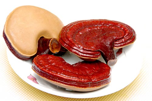 Mẹo phân biệt nấm linh chi thật và giả nhanh chóng