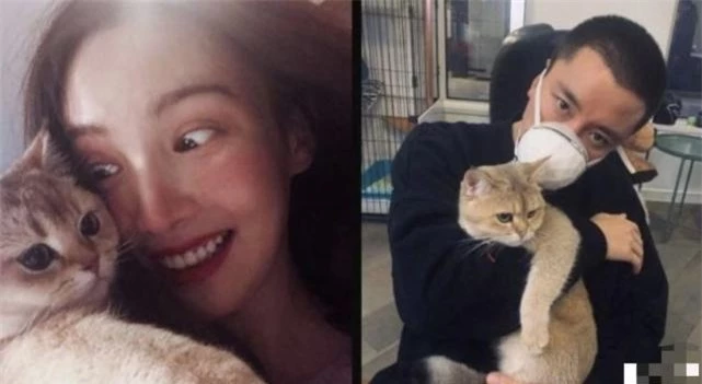 Cặp đôi chụp ảnh chung với mèo cưng của Kim Thần.