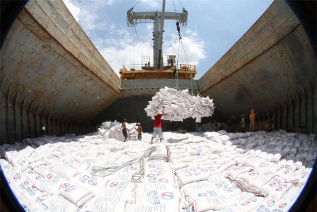 Giá gạo xuất khẩu Việt Nam cao nhất 9 năm do khan hiếm container - Ảnh 1.