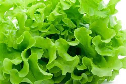 Mẹo bảo quản rau tươi lâu