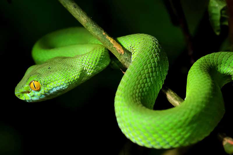 10 ngày cuối tháng 12 Dương lịch, 3 con giáp này dễ 'đổi đời' trúng lớn, may mắn hết phần thiên hạ