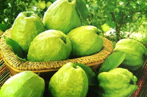 Bí quyết chọn hoa quả tươi ngon