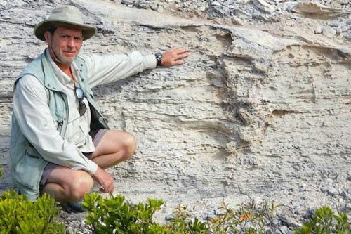 Tổ "quái thú" hóa đá tiết lộ bí ẩn giống loài 115.000 năm vẫn sống khỏe