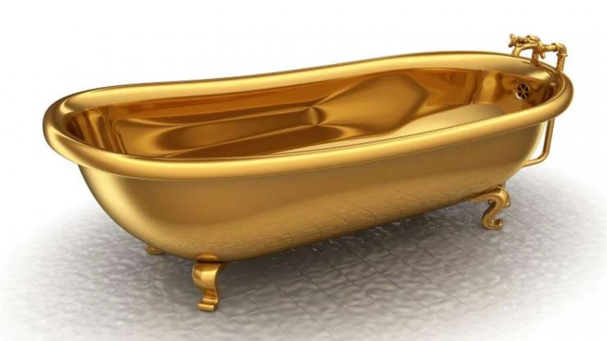 Võ sĩ Mike Tyson đã mua tặng cho người vợ đầu tiên, Robin Givens, món quà Giáng sinh là một chiếc bồn tắm bằng vàng trị giá 2,3 triệu USD.
