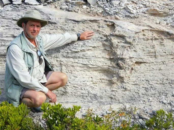 Tổ quái thú hóa đá tiết lộ bí ẩn giống loài 115.000 năm vẫn sống khỏe - Ảnh 1.