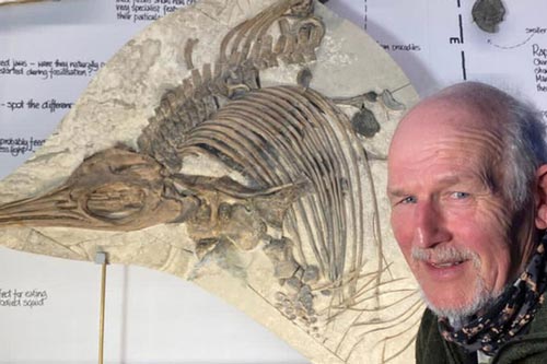 Đi dạo, người đàn ông đào được sinh vật lạ 150 triệu tuổi, to như cá mập