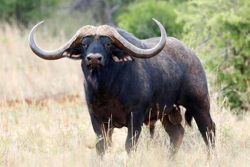 'Thần phật' ban thưởng, 3 con giáp tiền bạc lẫn sự nghiệp dễ thăng hoa trong 2 tháng cuối năm Âm lịch