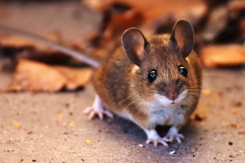 5 ngày cuối tháng 12 Dương lịch, 3 con giáp này dễ 'đổi đời' trúng lớn, đếm tiền mỏi tay 