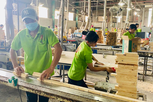 Rủi ro nguyên liệu 'đe dọa' tương lai ngành gỗ