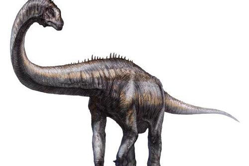 Phát hiện gần 100 dấu chân khủng long to lớn ở Tây Tạng