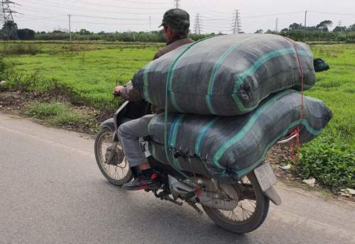Gần Tết, dân buôn hàng đường tiểu ngạch 'khóc thét' vì liên tục bị giữ hàng