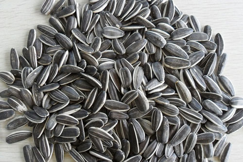 Lợi ích bất ngờ của hạt hướng dương có thể bạn chưa biết
