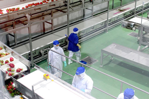 ‘Nóng’ chuỗi cung ứng lạnh cho ngành hàng thực phẩm