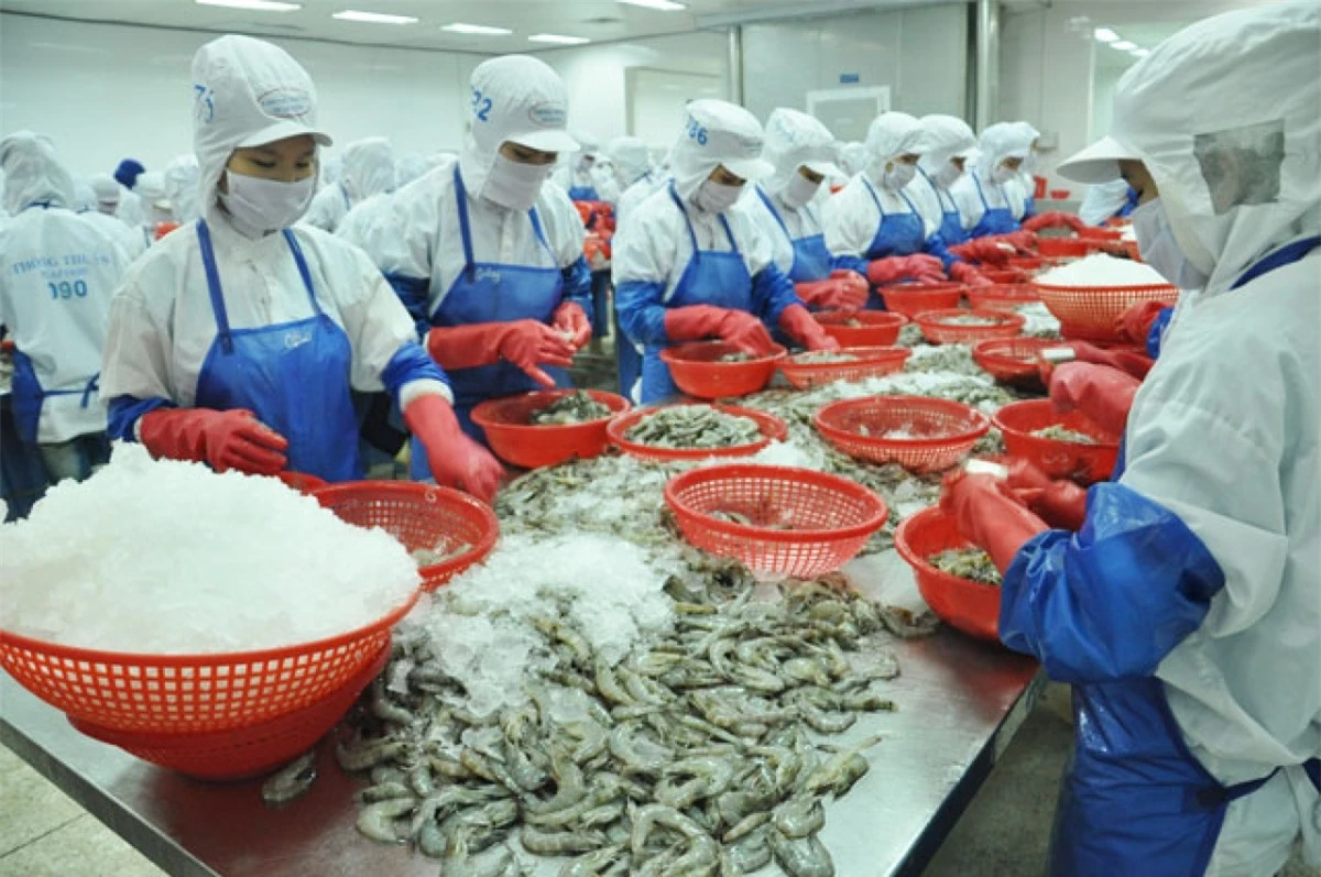 Sản phẩm thủy sản của Công ty Thông Thuận