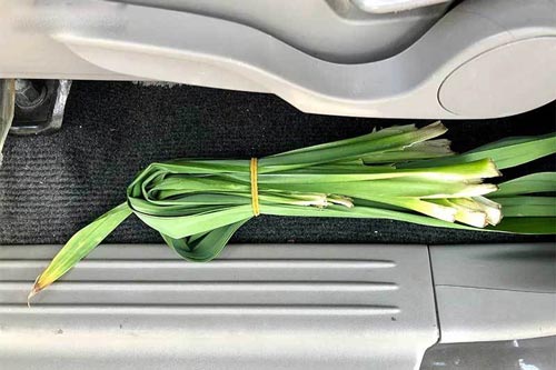 6 mẹo giúp khử hết mùi da mới trên ô tô