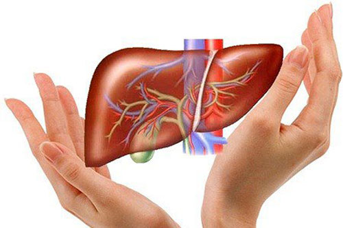 Dấu hiệu cảnh báo gan bạn đang bị bệnh cần đi khám gấp