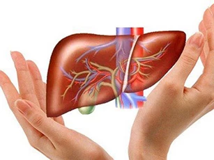 Dấu hiệu cảnh báo gan bạn đang bị bệnh cần đi khám gấp