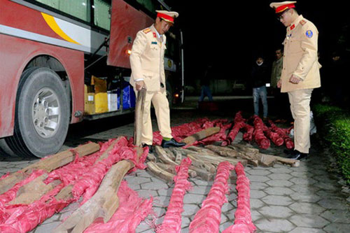 Hà Tĩnh: Phát hiện xe khách chở gần 1 tấn gỗ quý