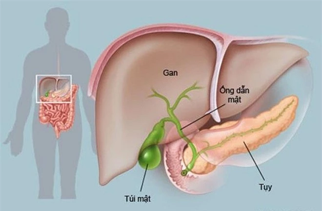 Đừng coi thường khi bị đau lưng vì bạn rất dễ mắc phải căn bệnh đáng sợ sau