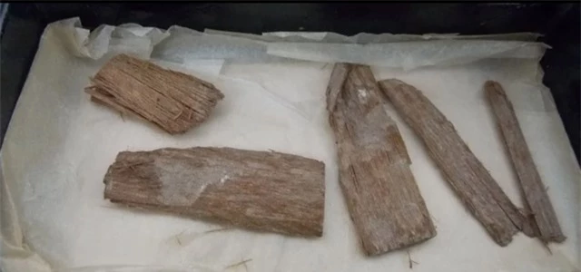Mảnh gỗ tuyết tùng 5.000 năm tuổi cực hiếm hé lộ bí mật của Đại kim tự tháp - 1