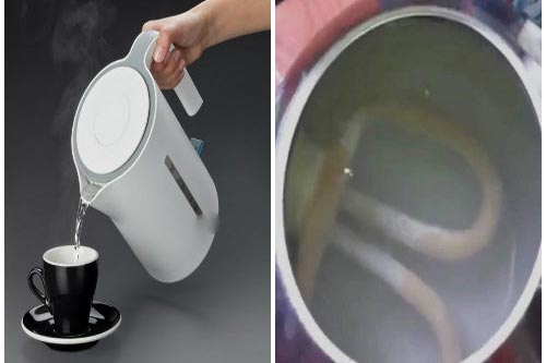 Để nước thừa trong bình đun siêu tốc tác hại ít ai ngờ
