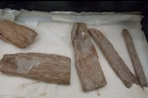 Mảnh gỗ tuyết tùng 5.000 năm tuổi cực hiếm hé lộ bí mật của Đại kim tự tháp