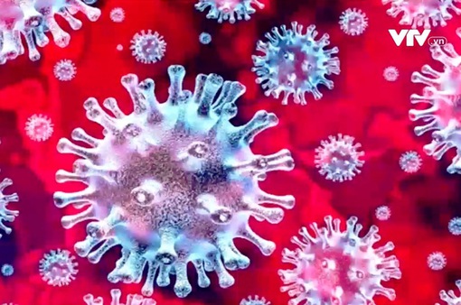 Biến chủng của SARS-CoV-2 ở Nam Phi lo ngại đến mức nào?