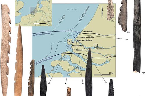 Bí ẩn hài cốt người 7.500 tuổi đầy răng cưa dạt vào bờ biển