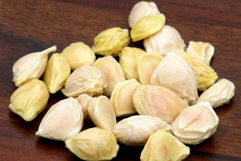 Lấy hạt bưởi và làm theo cách này, bạn có ngay 'thần dược' trị 'bách bệnh'