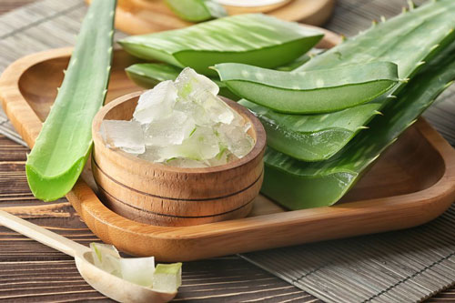 Không chỉ có tác dụng làm đẹp, nha đam còn có nhiều công dụng tốt cho sức khỏe