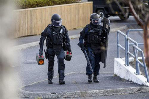 Quốc gia nào trên thế giới chỉ có duy nhất một con muỗi?