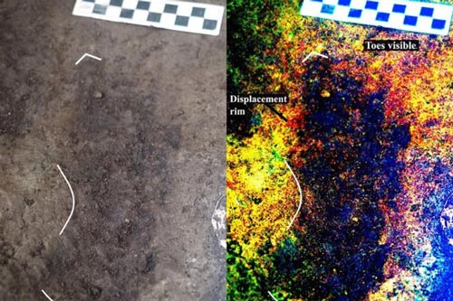 Tìm thấy 29 dấu chân của người cổ đại 13.000 năm tuổi tại Canada