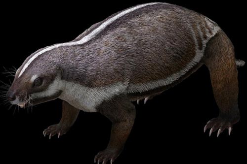 Hãi hùng "con thú điên" nguyên vẹn 66 triệu tuổi, sống giữa khủng long