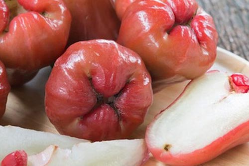 Những công dụng tuyệt vời của quả roi mà bạn chưa hề nghĩ đến